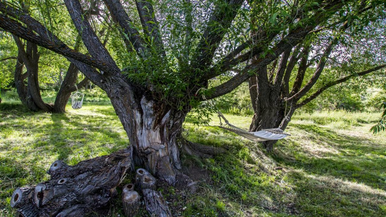 Masia El Cabrero Villarroya de los Pinares Eksteriør billede
